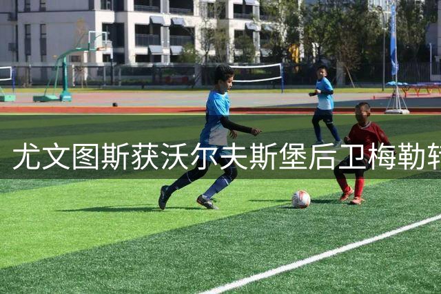 尤文图斯获沃尔夫斯堡后卫梅勒转会意向