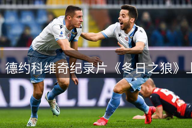德约科维奇纪录片《冬日之狼》上线，伊布出席首映礼并分享合影