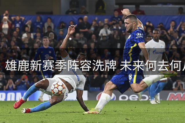 雄鹿新赛季阵容洗牌 未来何去何从？